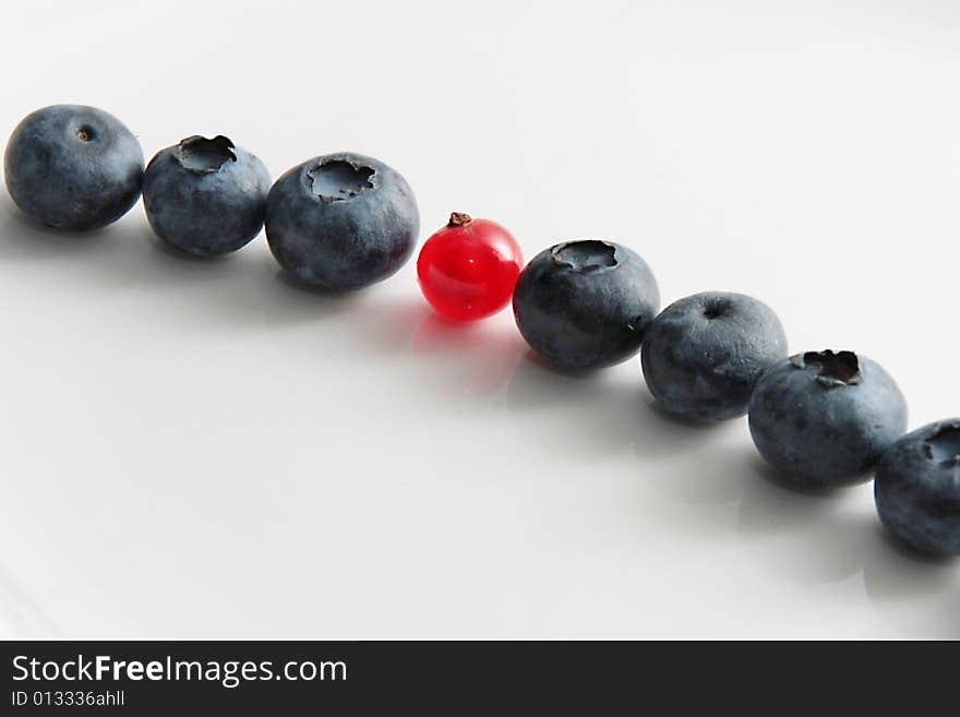 Black currant and red currant on a grey background. Black currant and red currant on a grey background