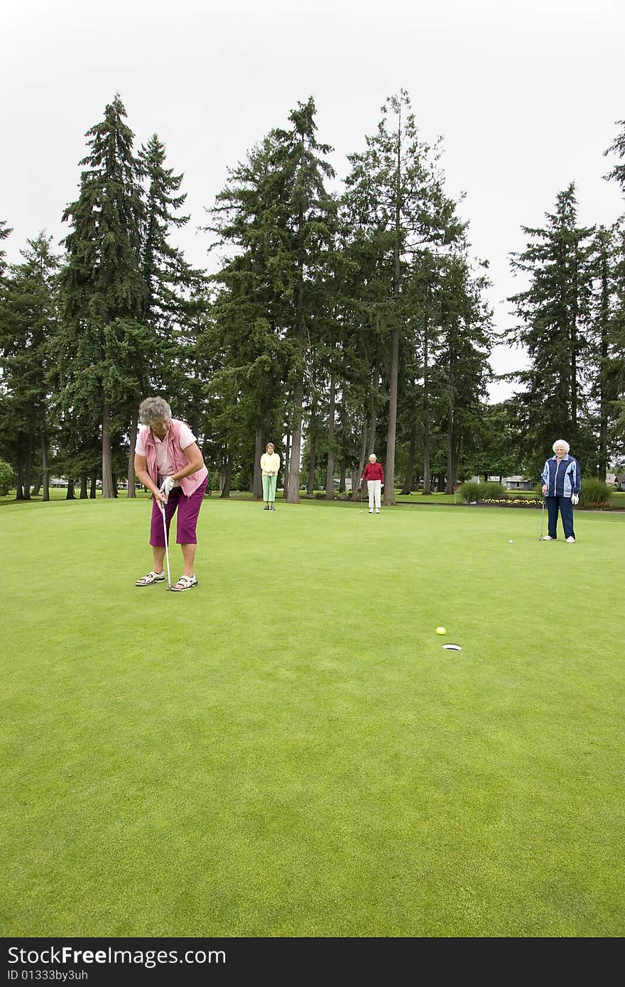 Elderly woman teeing off on the golf course as her three friends watch. Vertically framed photo.