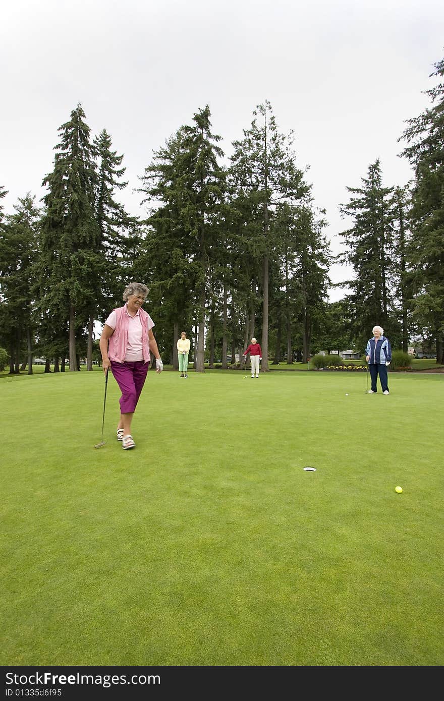 Elderly woman going after her golf ball on the golf course as her three friends watch. Vertically framed photo. Elderly woman going after her golf ball on the golf course as her three friends watch. Vertically framed photo.