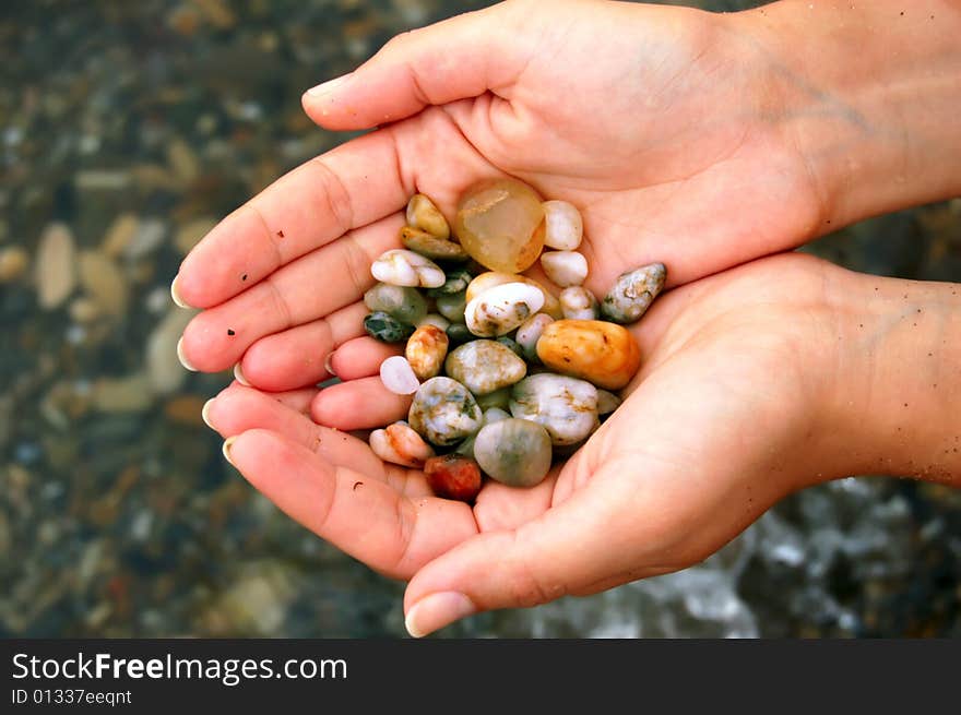 Closeup of female hands holding set of colored sea shells. Closeup of female hands holding set of colored sea shells