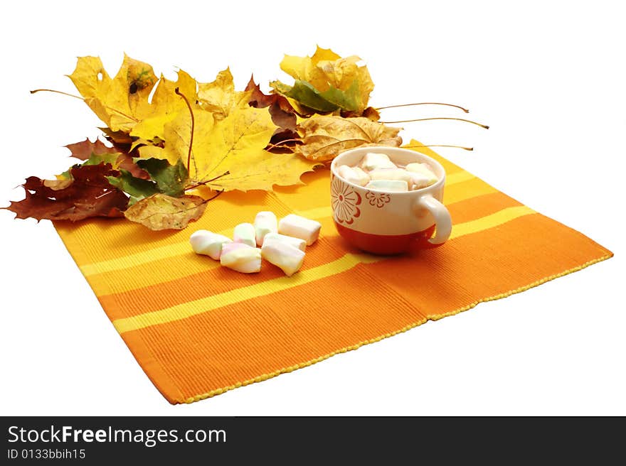 Cup of hot chocolate with marshmallows