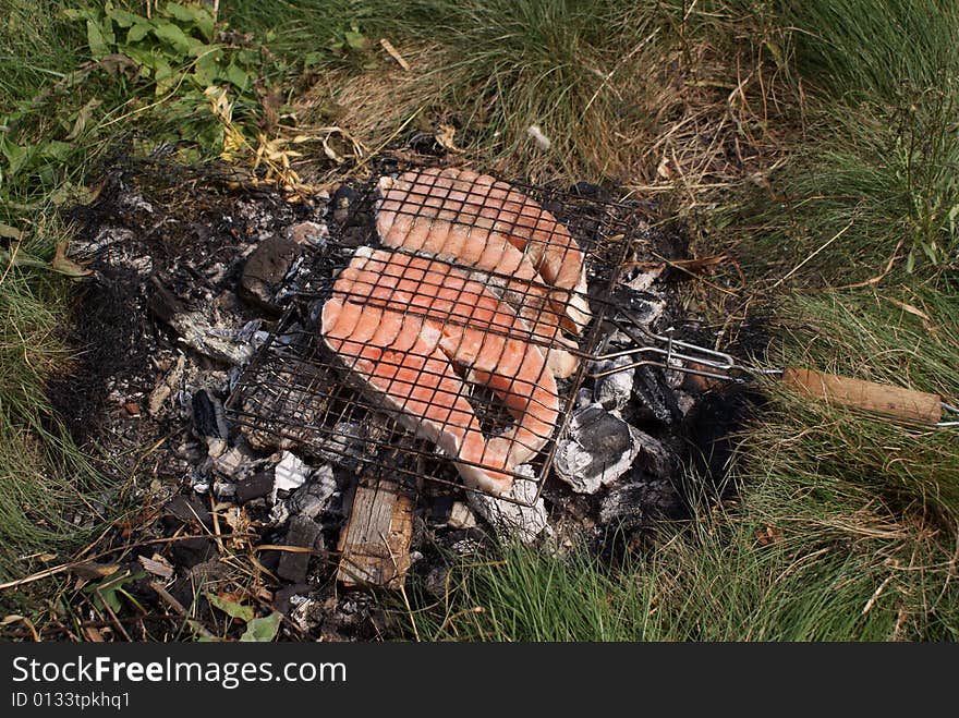 salmon bake on the camp fire