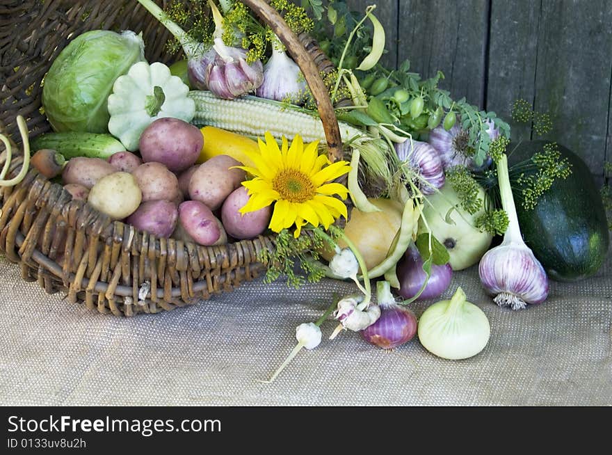 The village still life. Harvest