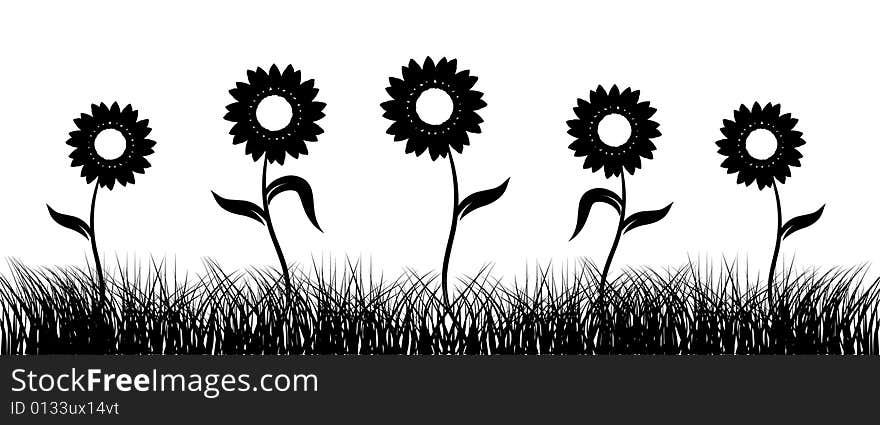 Sunflower on field, black silhouette, illustration