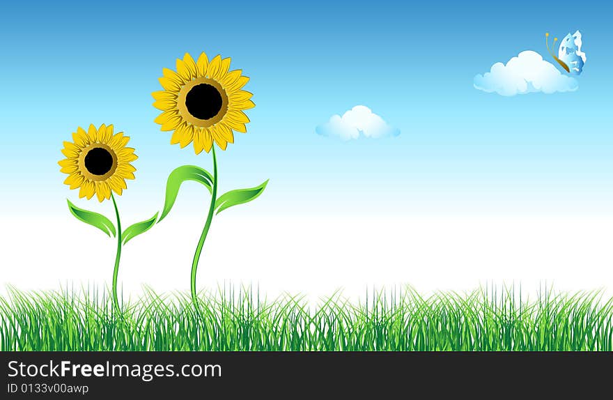 Sunflower on green field