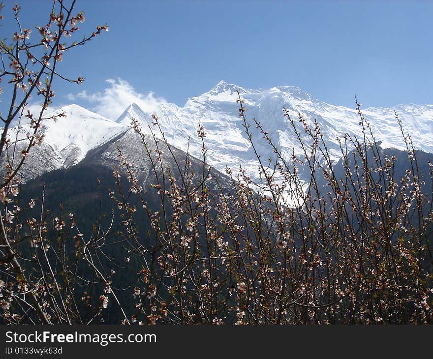 Spring Annapurna