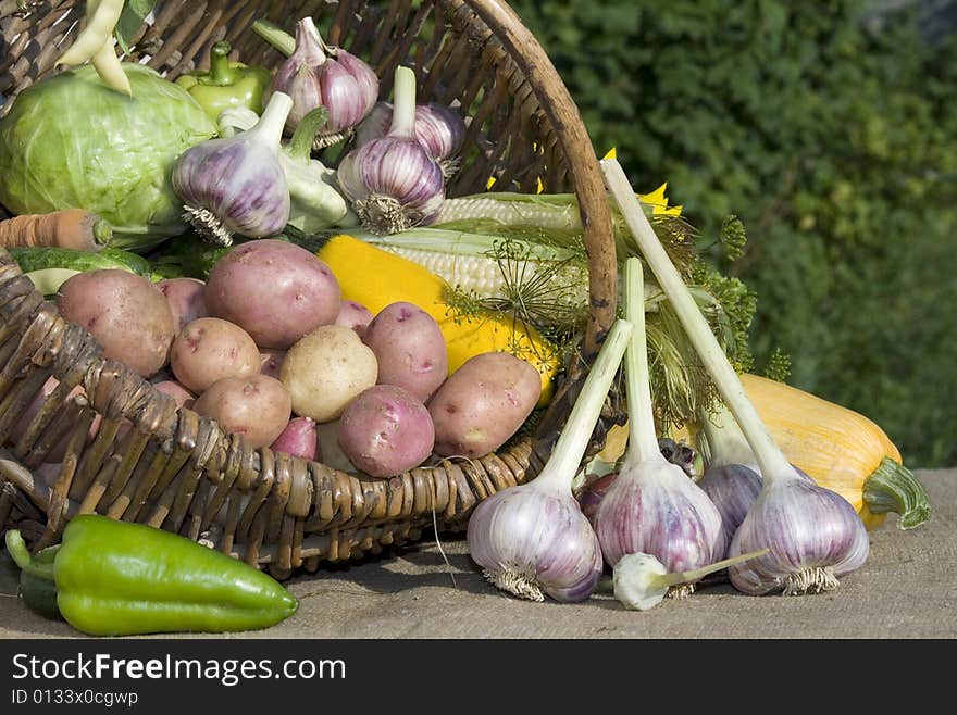 The village still life. Harvest