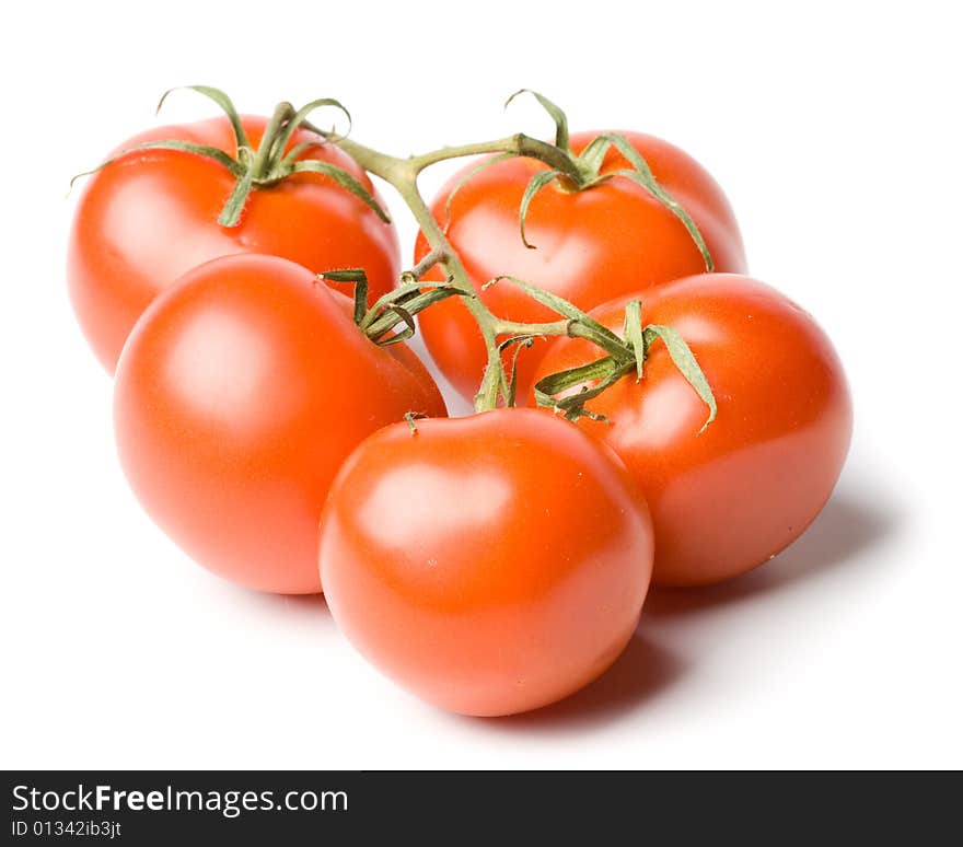 Fresh Tomatoes