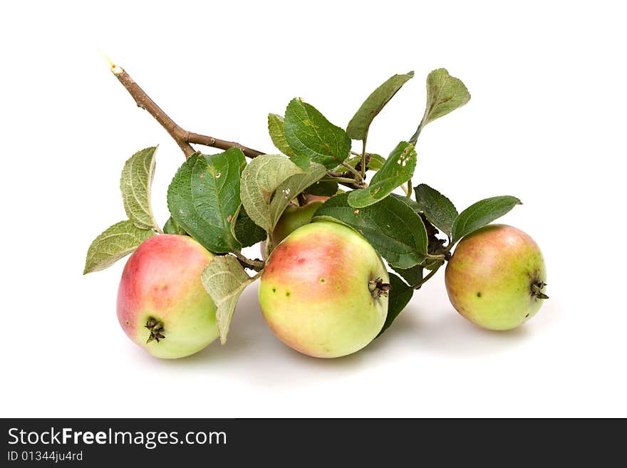 Fresh apple on a white background