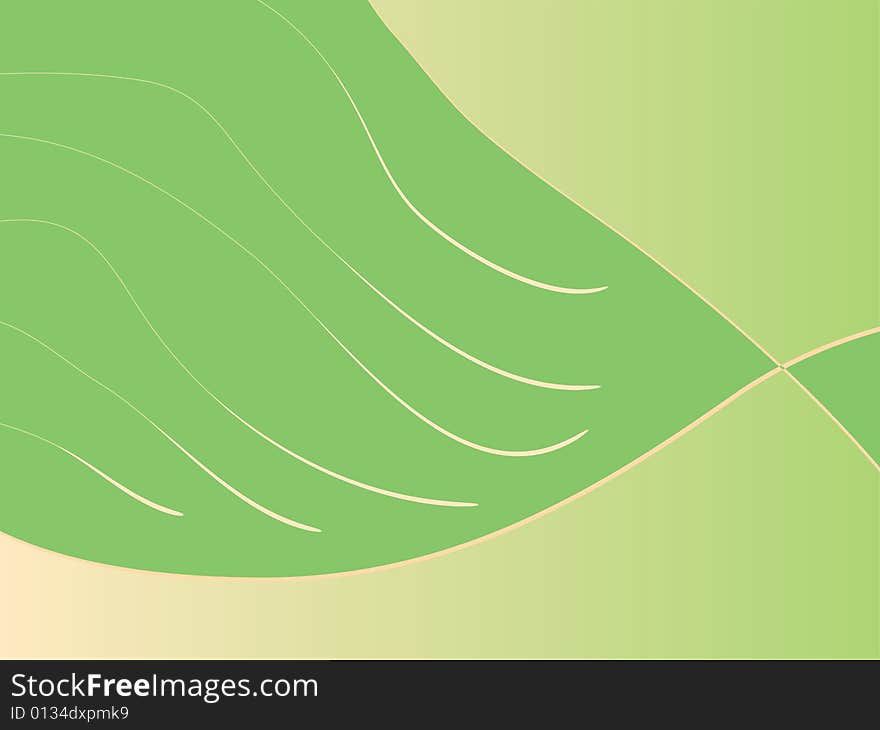 A vector illustration of a leaf background