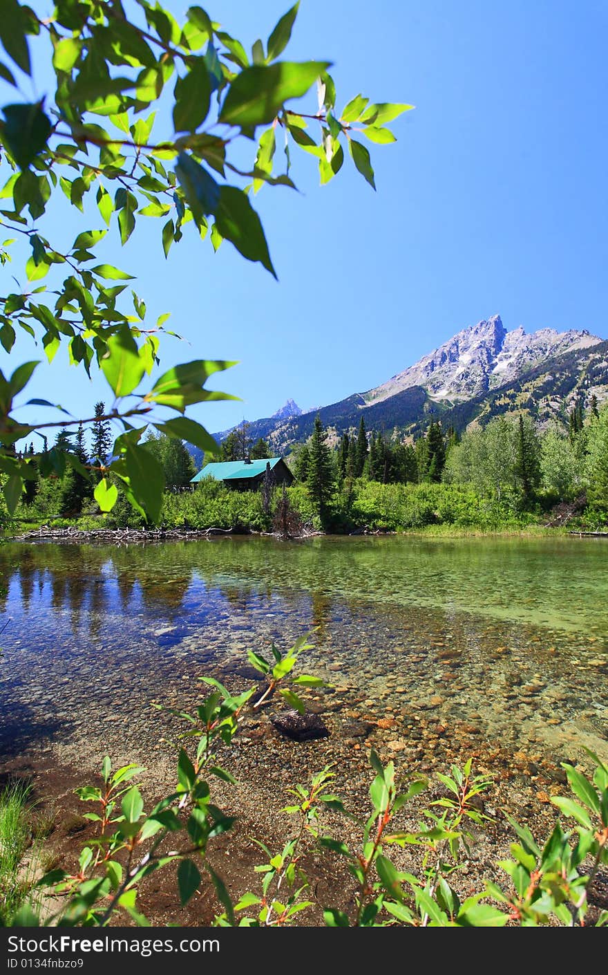 A River Near Jenny Lake In Grand Teton