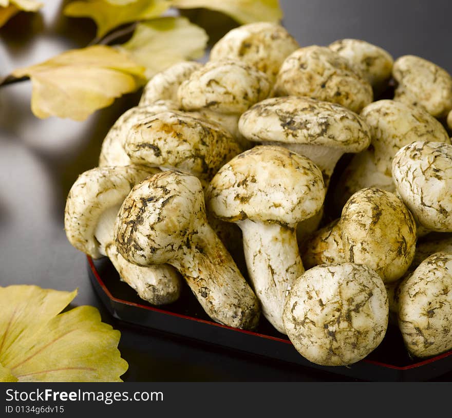 Mushroom on black tray in autumn. Mushroom on black tray in autumn