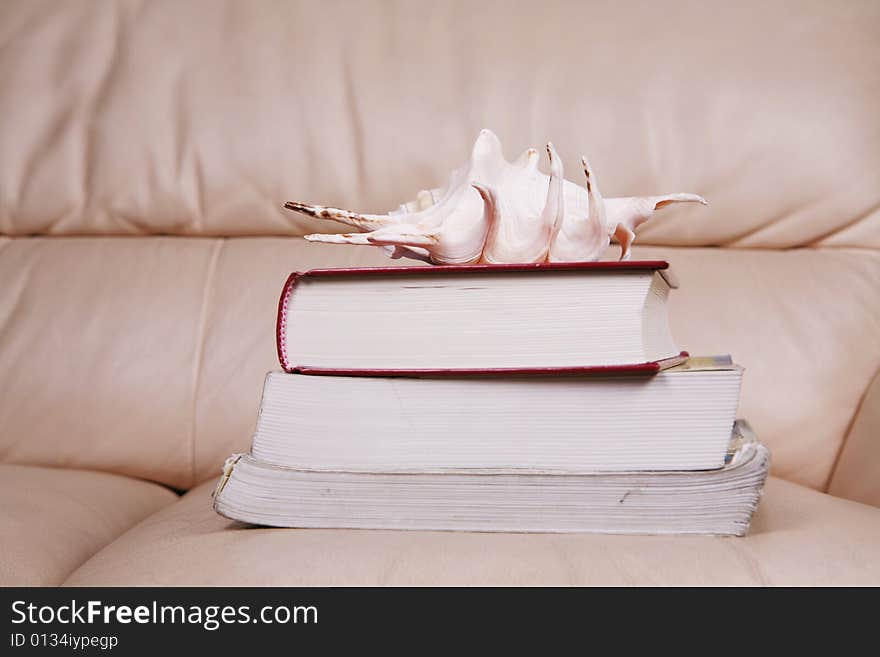 seashell on the some books. seashell on the some books