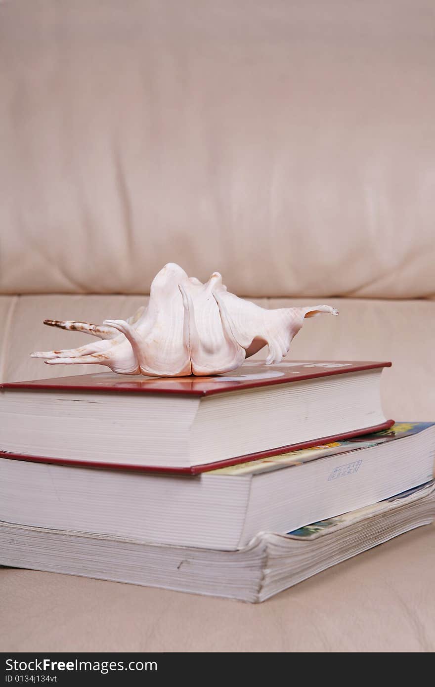 A stethoscope sits on top of books. A stethoscope sits on top of books