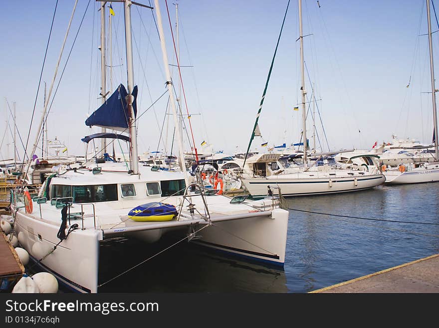 Yachts In Harbor