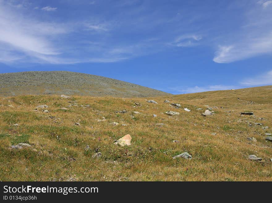 Altai Mountain in summer