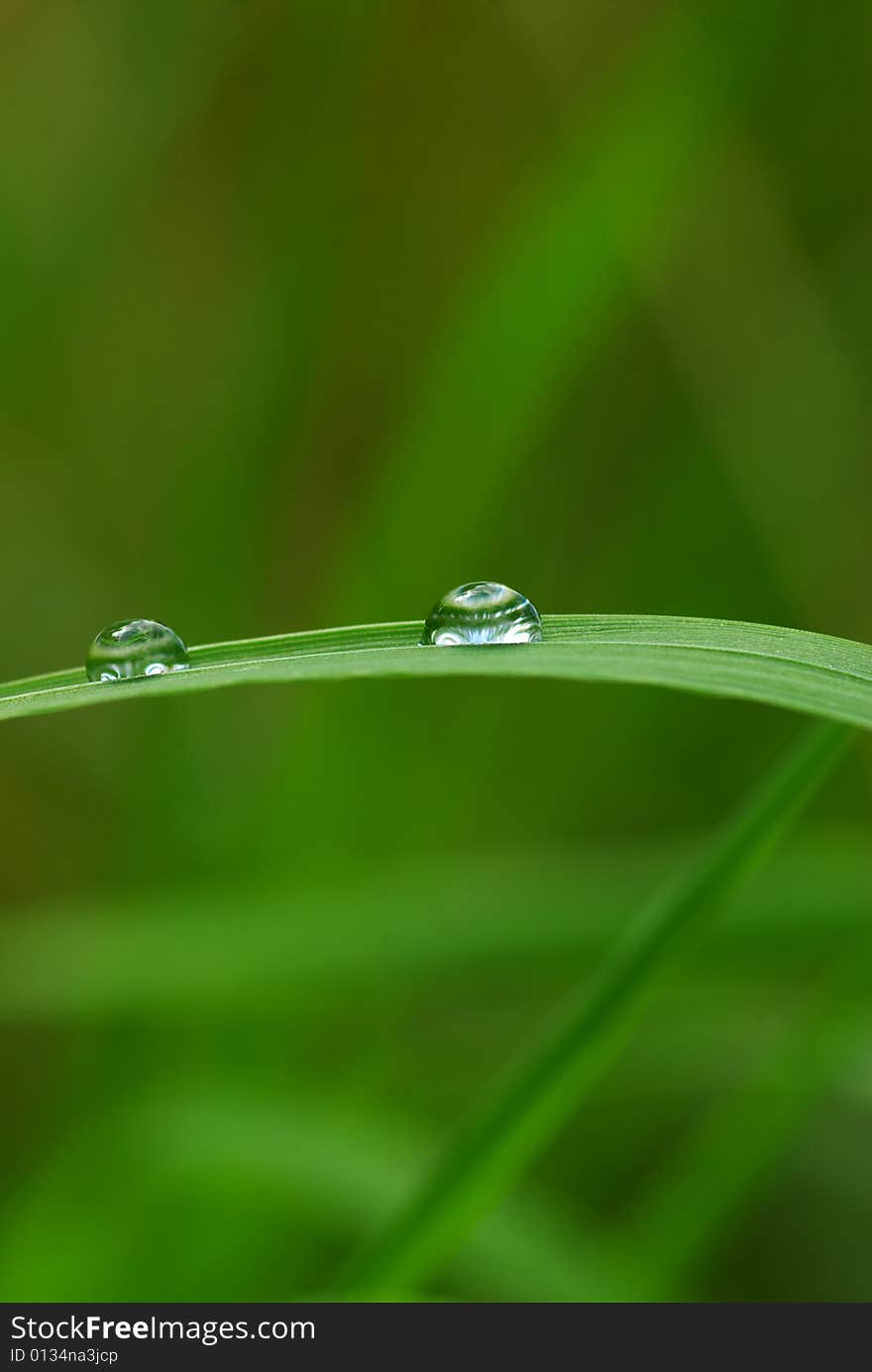 Drop on a blade of grass. Drop on a blade of grass