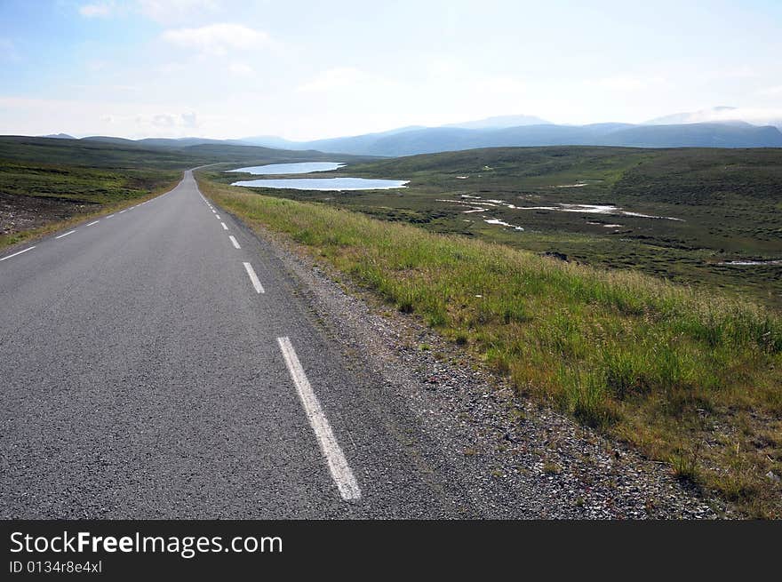 Asphalt auto road in summer green landscape.