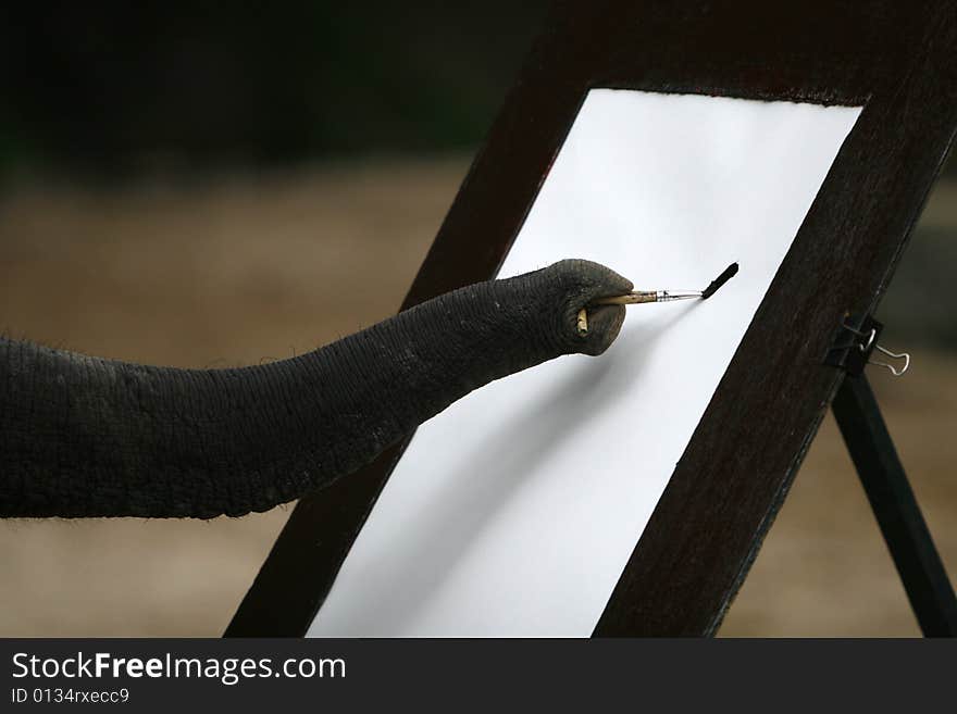 Elephants painting