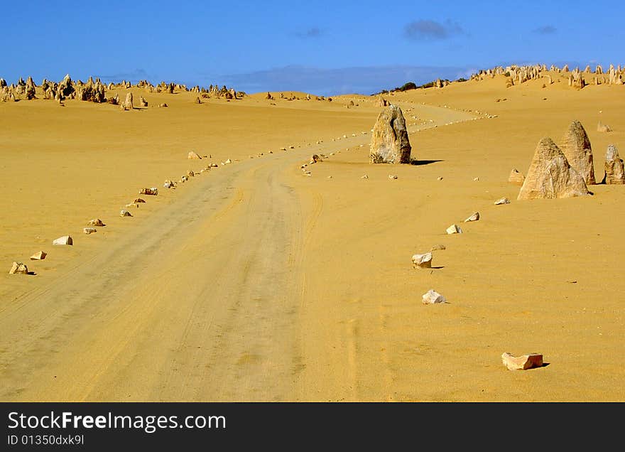 Road through Pinnacles - fossil stone or sand or tree