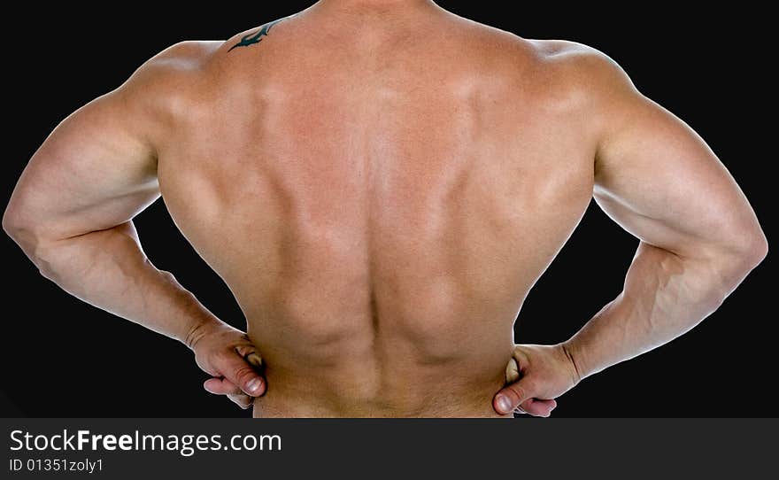 Back view of a body , isolated on black background. Back view of a body , isolated on black background