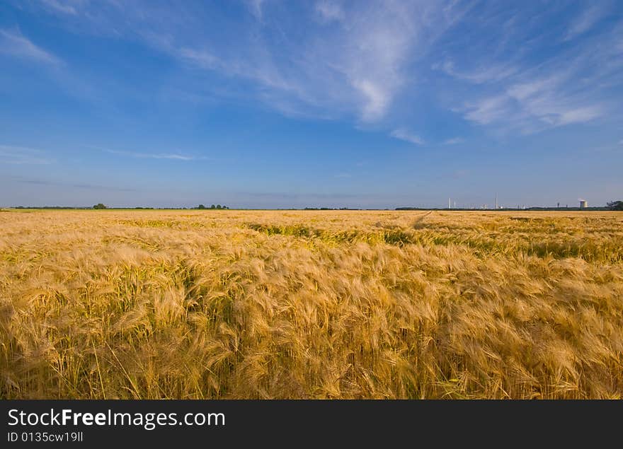 Rural Scene