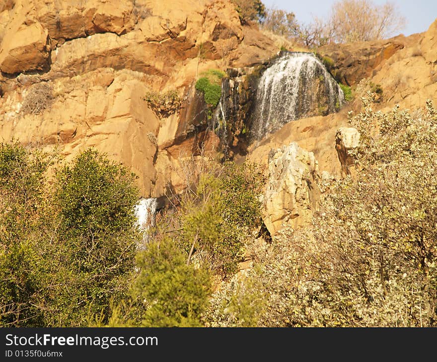 I captured this picture at The Walter Sisulu Botanical Gardens outside Krugersdorp,South Africa. I captured this picture at The Walter Sisulu Botanical Gardens outside Krugersdorp,South Africa.