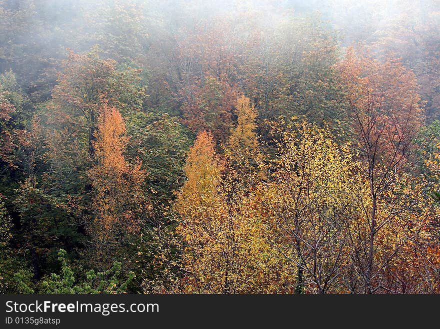 Fall Day In Mountains