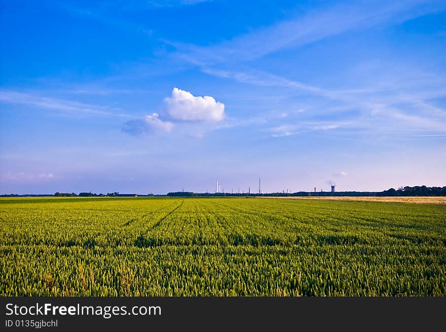 Bright colored ruralscene almost ready for the harvest with blue sky. Bright colored ruralscene almost ready for the harvest with blue sky