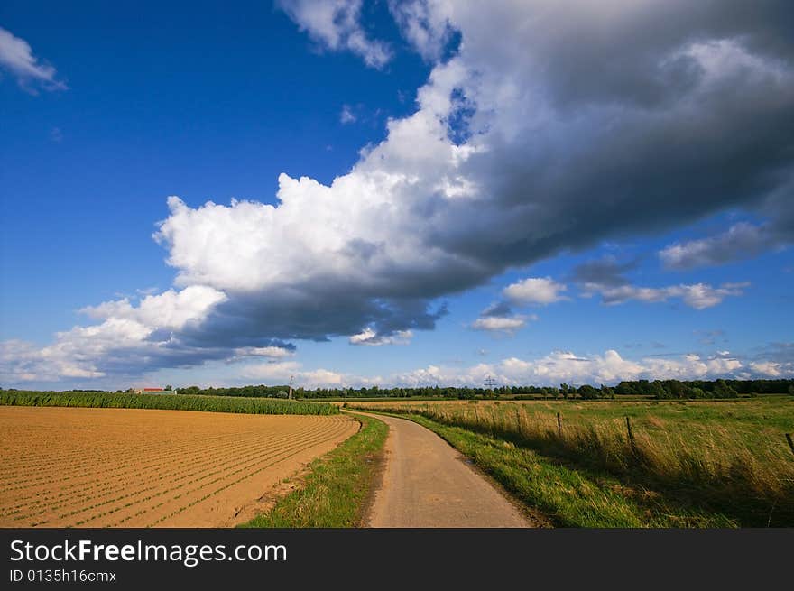 Big thunder cloud over a rural farmlnadscape