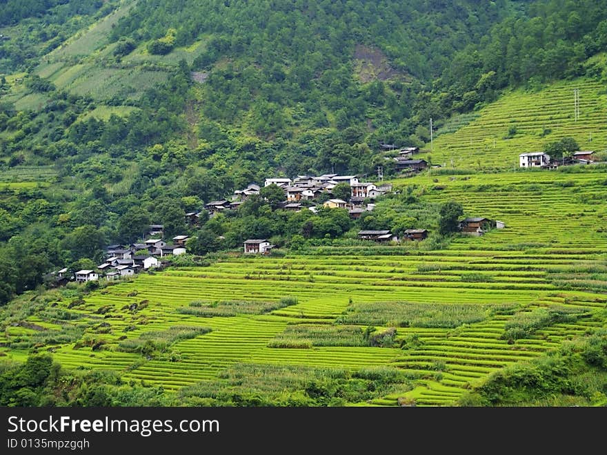 Yunnan Nationalities Cottage usually be built in tourism scenic spots with beautiful environment and long cultural history. Most of hotels are built into ancient castles, village villas or cottage with stone walls according to the local custom or geographical environment. Authentically reproducing the cottage building, temple, production and living scene, religious customs of each minority ethnic group, it can be considered a miniature of the multivariate culture of Yunnan. Yunnan Nationalities Cottage usually be built in tourism scenic spots with beautiful environment and long cultural history. Most of hotels are built into ancient castles, village villas or cottage with stone walls according to the local custom or geographical environment. Authentically reproducing the cottage building, temple, production and living scene, religious customs of each minority ethnic group, it can be considered a miniature of the multivariate culture of Yunnan.