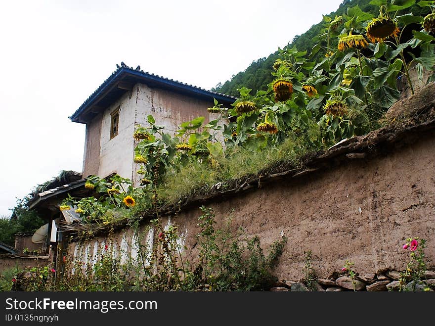 Cottage of the Naxi nationality