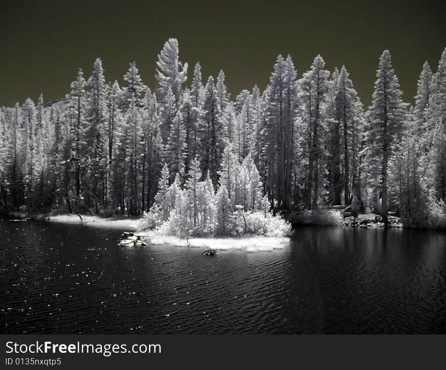 View of lake  in california mountains. View of lake  in california mountains