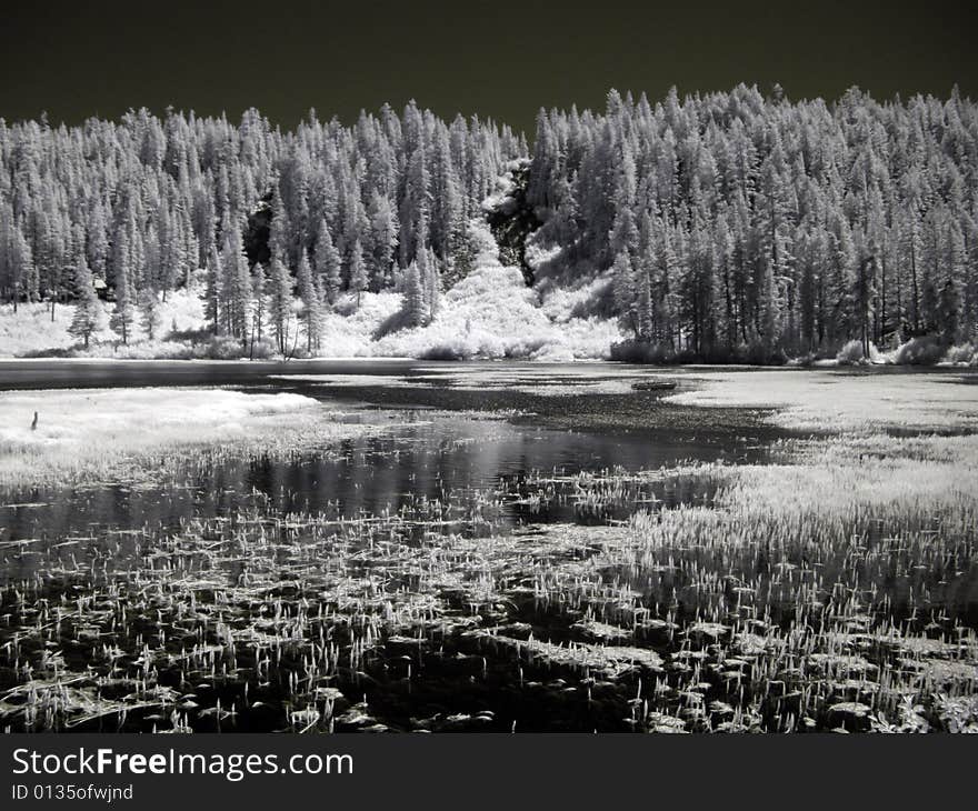 View of lake  in california mountains. View of lake  in california mountains