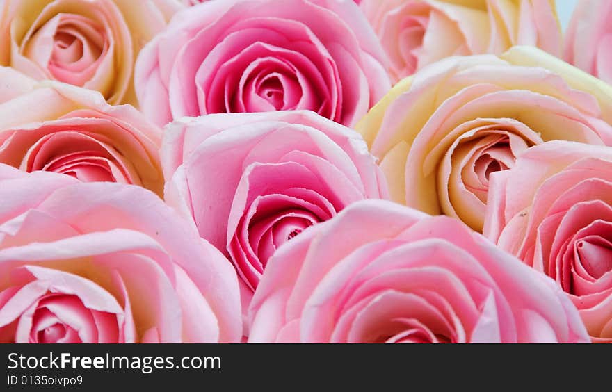 A close up shot of some pretty silk flowers