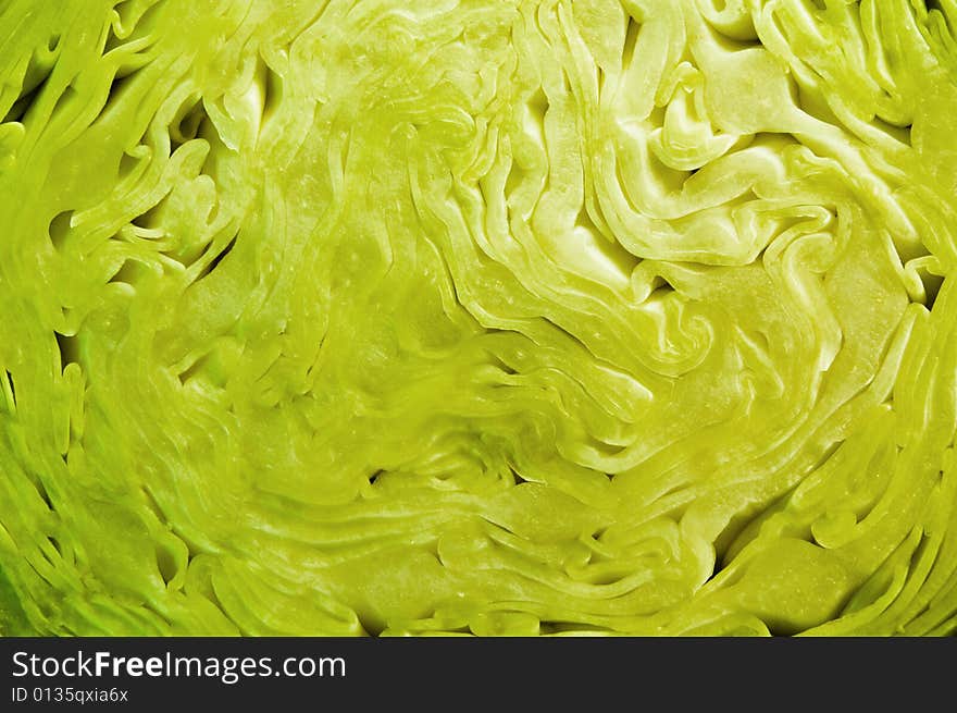 Close up of a cabbage cut