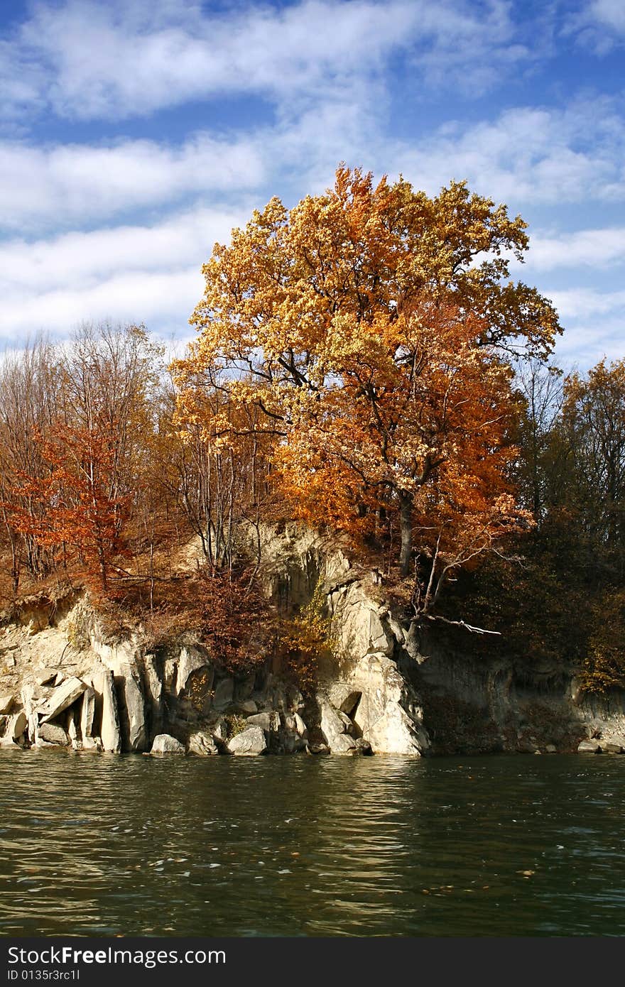 Fall forest and lake