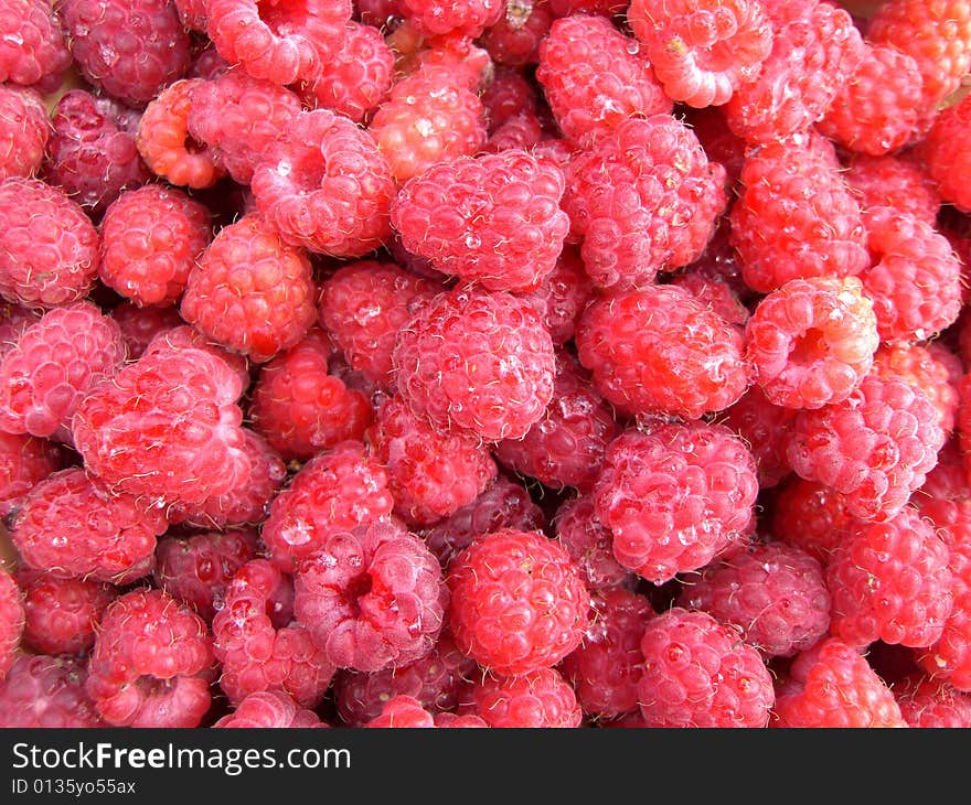 Juicy raspberry