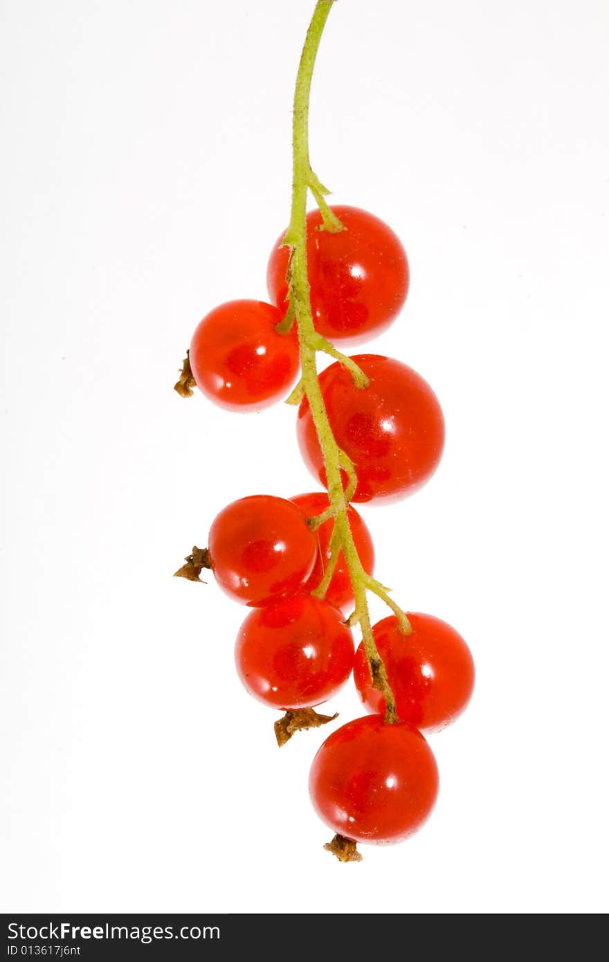 Red Currants