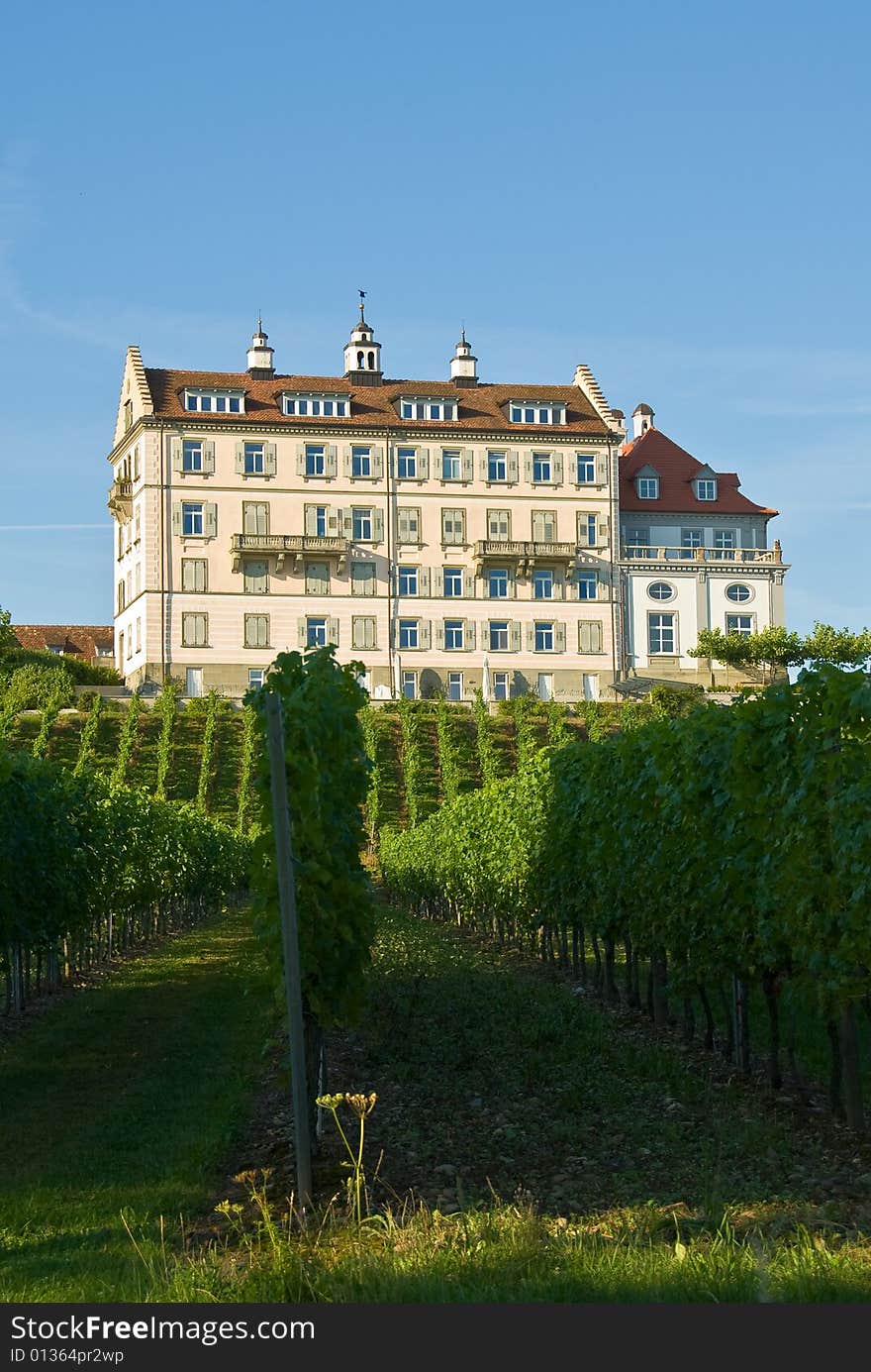 Winery at the lake of constance, germany