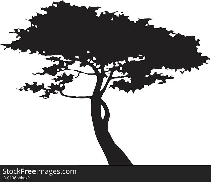 Tree graphic