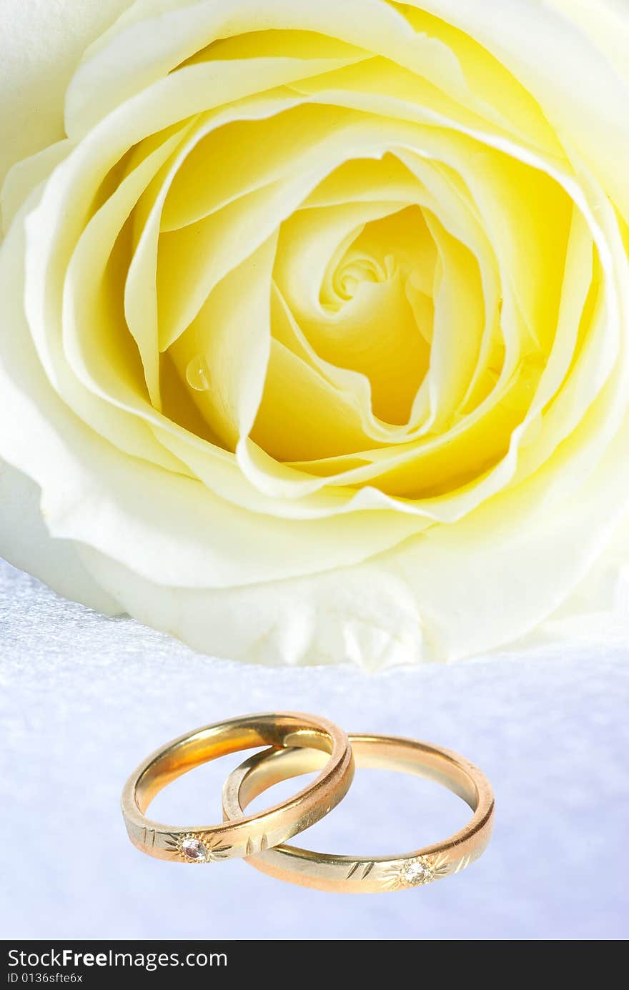 Wedding rings and rose on grey background