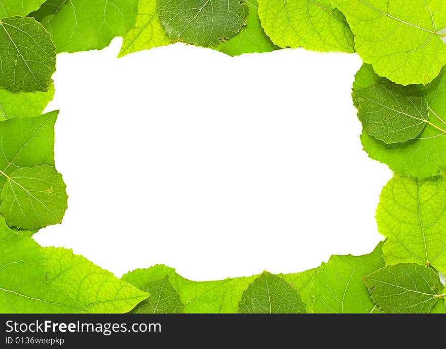 Leaves frame isolated on white