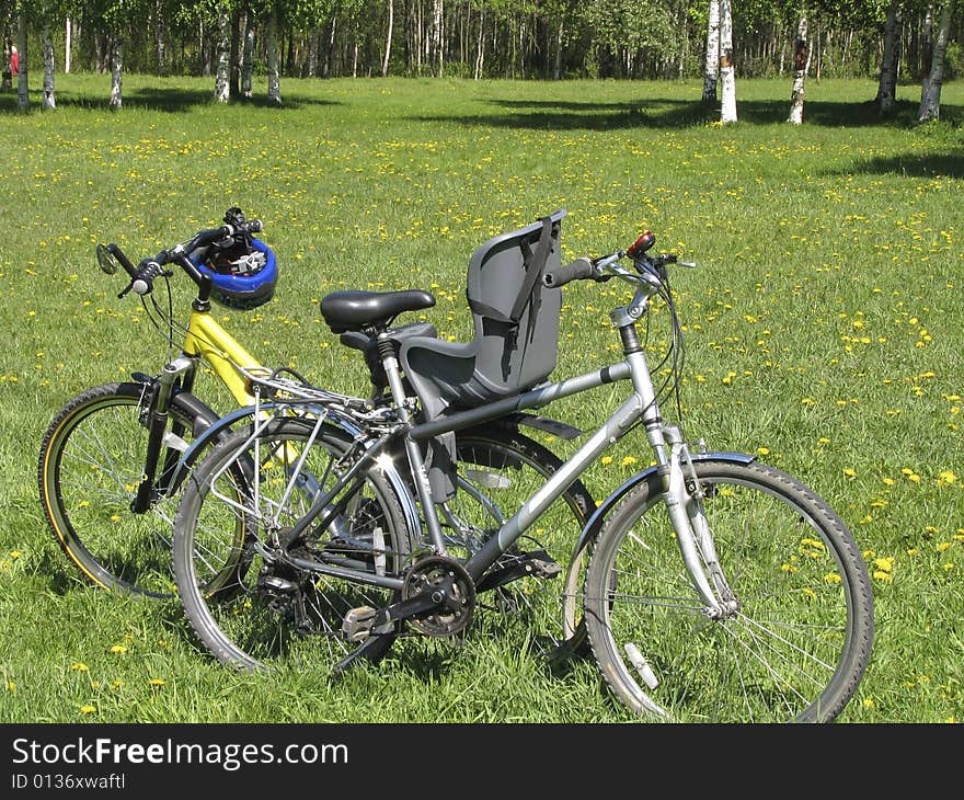 Two bicycles on a glade