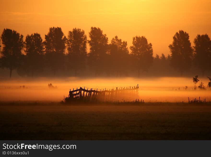 Fence in morning fog