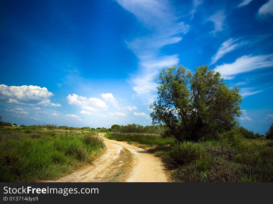 Landscape under clear blue sky. Landscape under clear blue sky