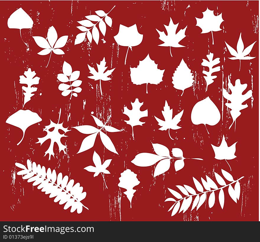 Vector Leaves Silhouette Set illustration