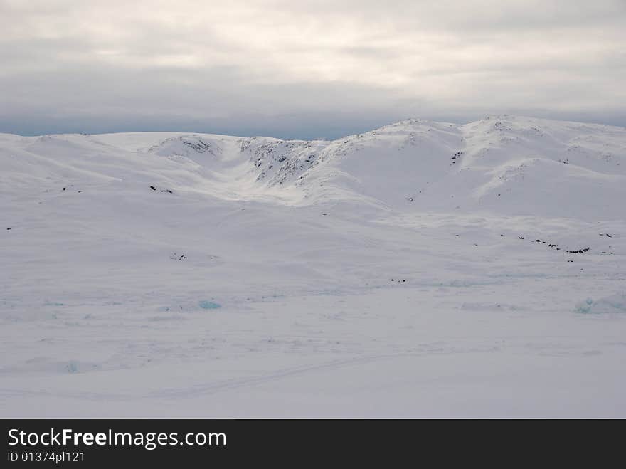 Ice field in Greenland