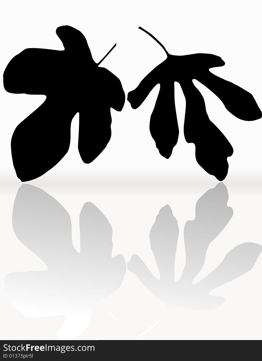 Silhouettes of leaves