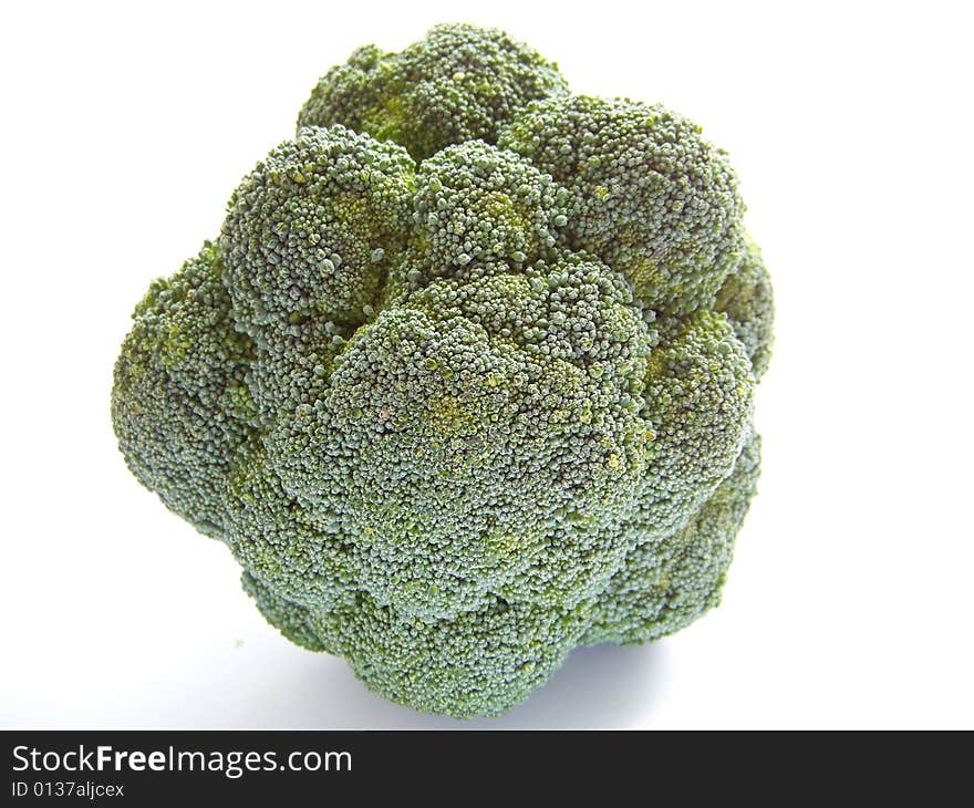 Green broccoli against white background